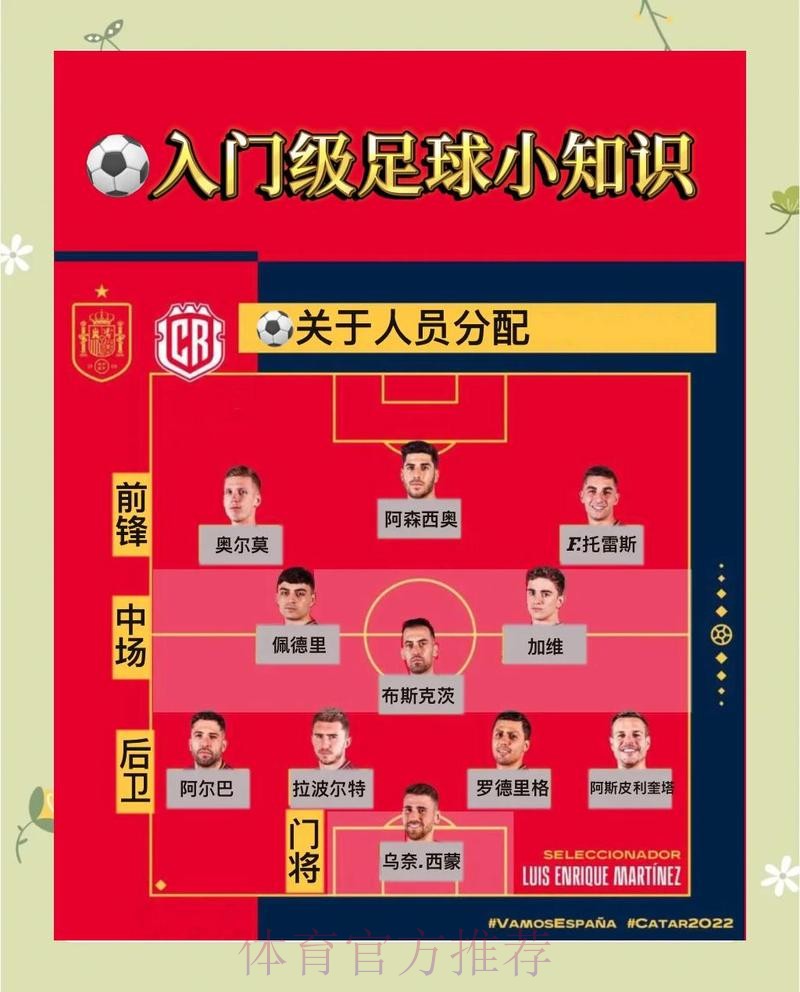 世界杯下注技巧大全，高手经验分享
